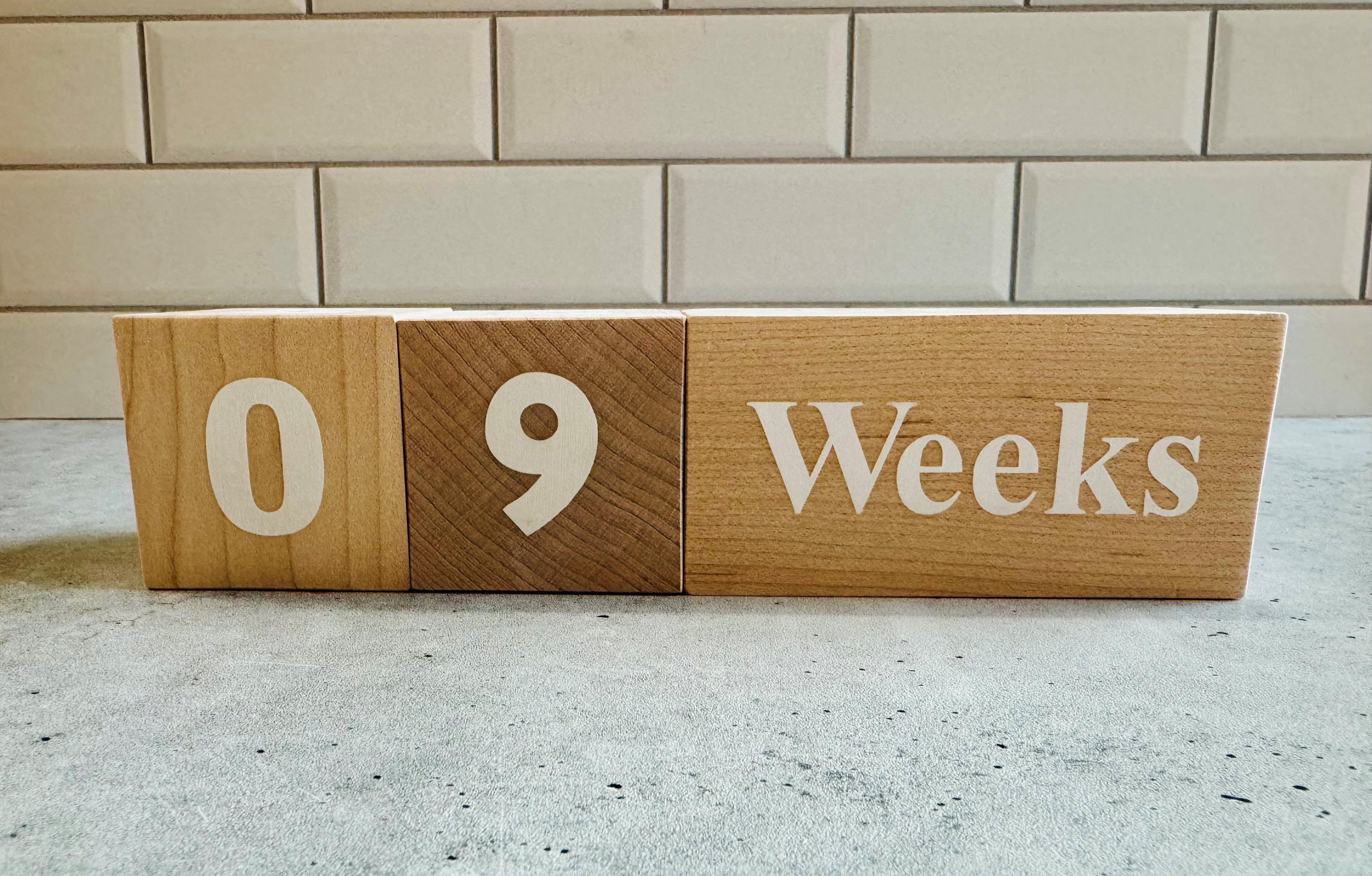 Baby Milestone Blocks