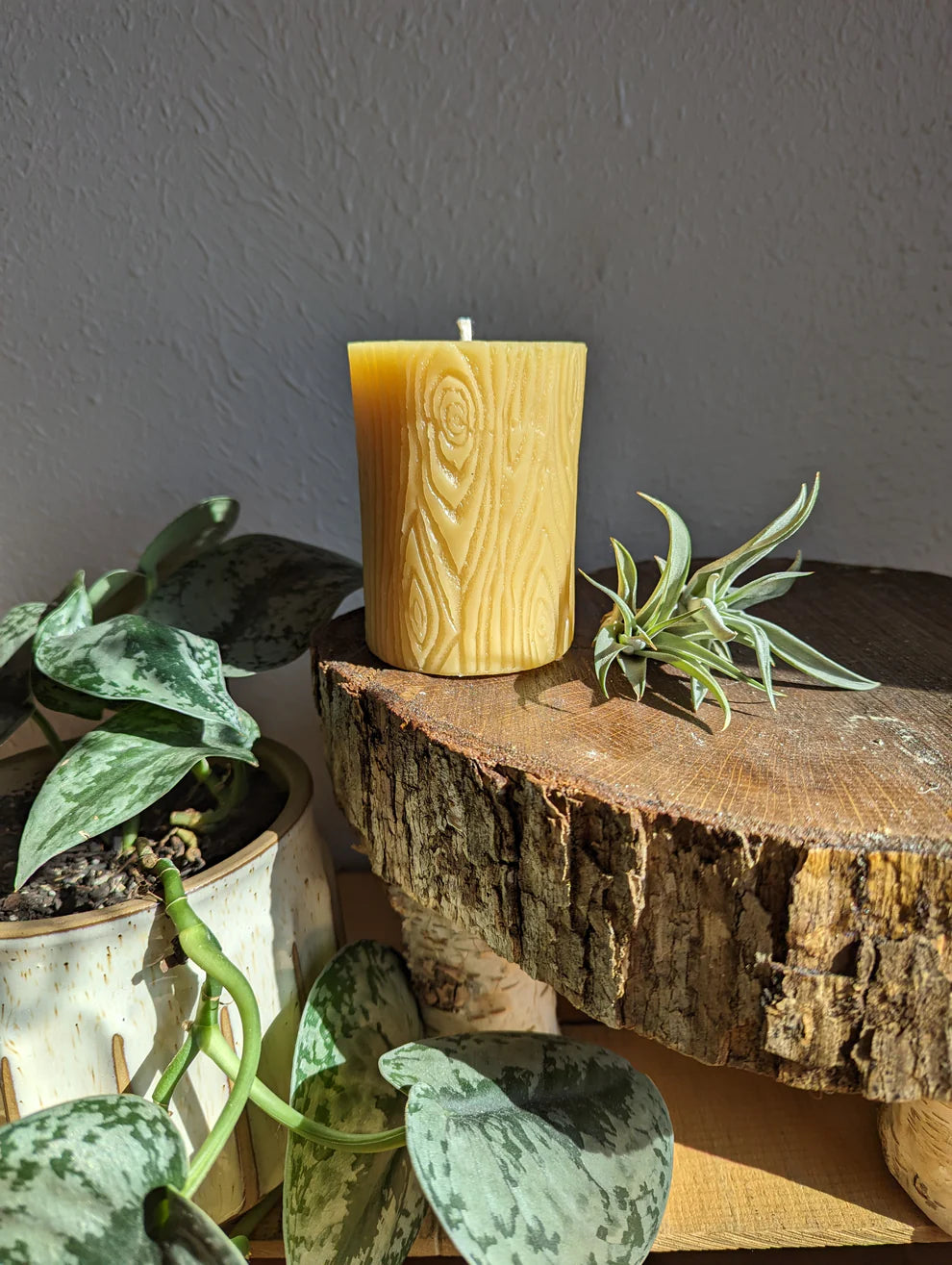 Beeswax Candles