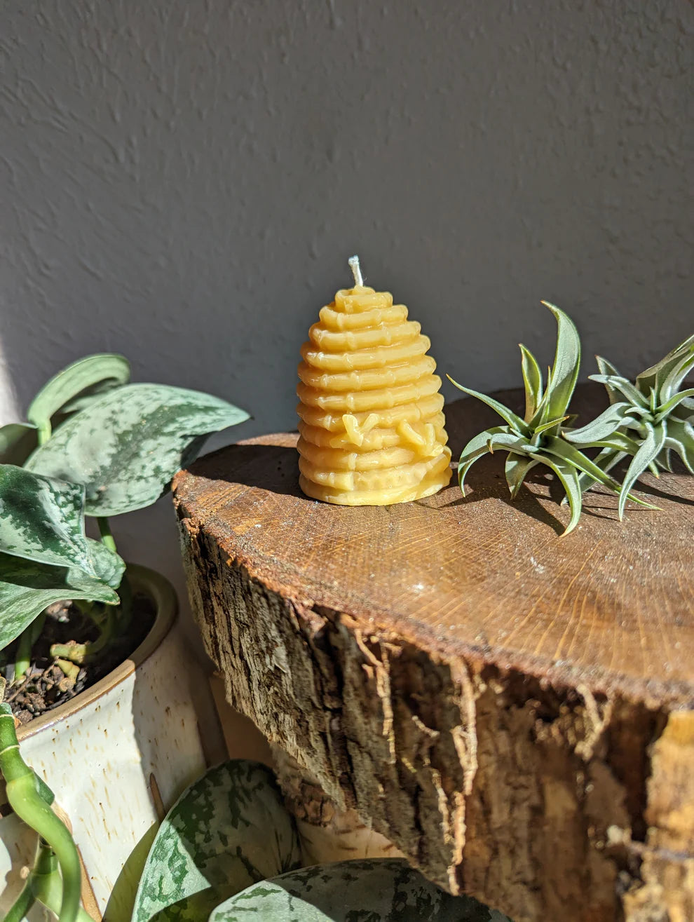 Beeswax Candles