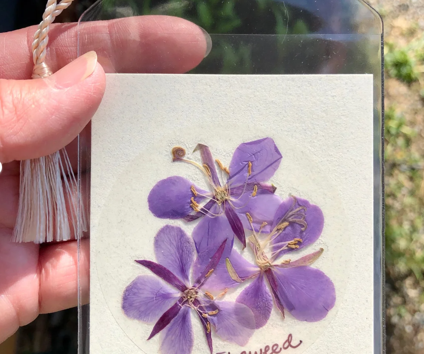 Pressed Wildflower Bookmark