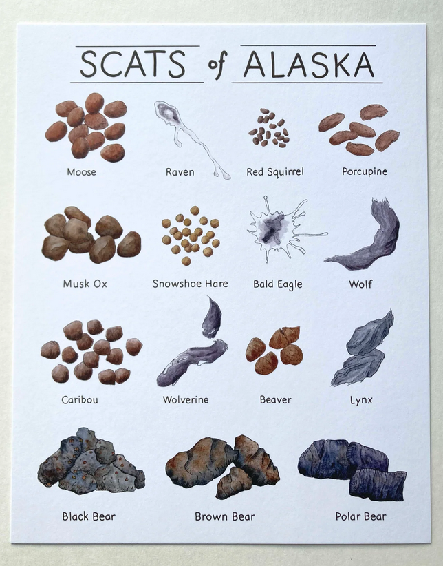 Scats of Alaska Art Print