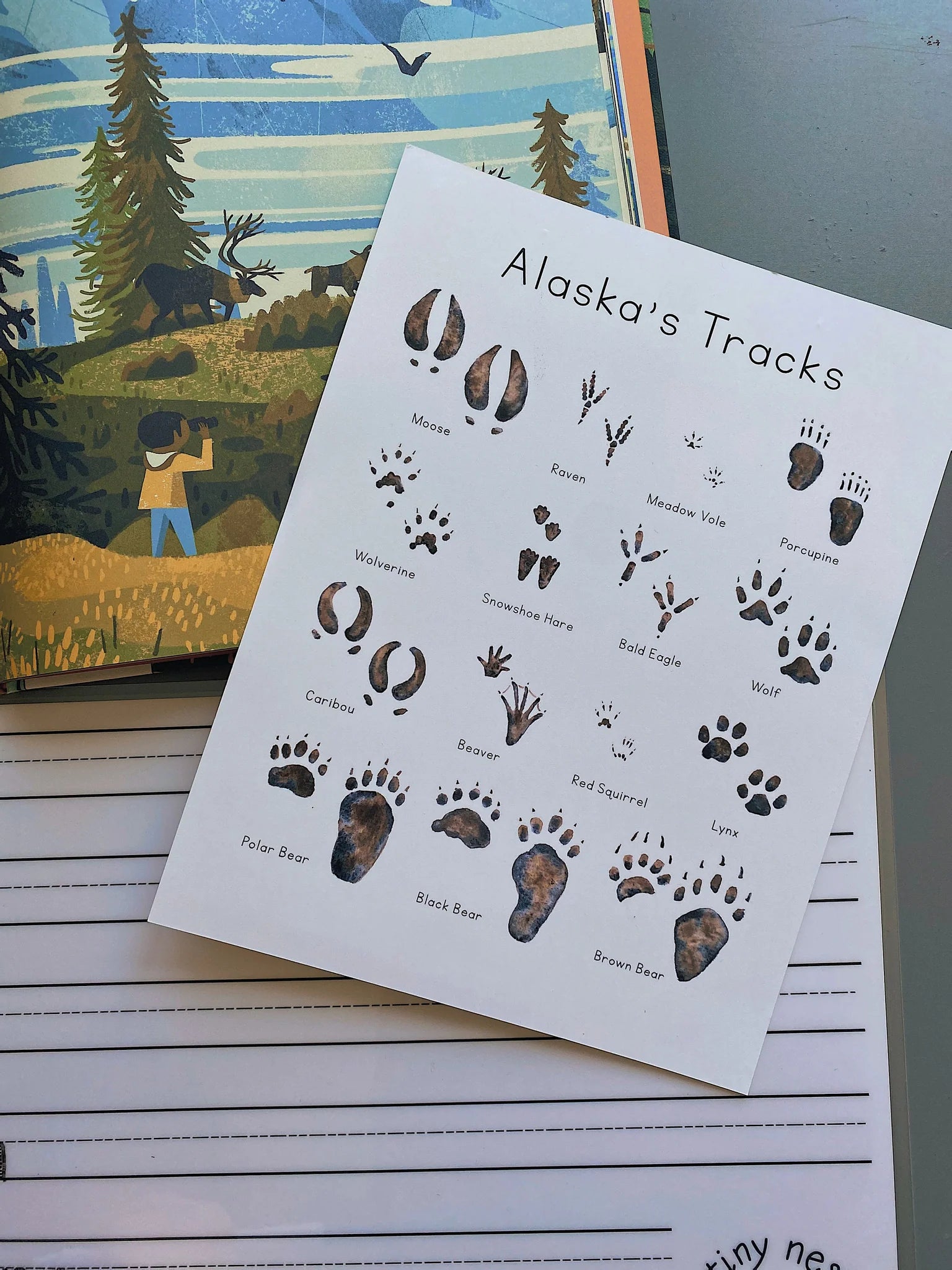 Alaska Animal Tracks Art Print