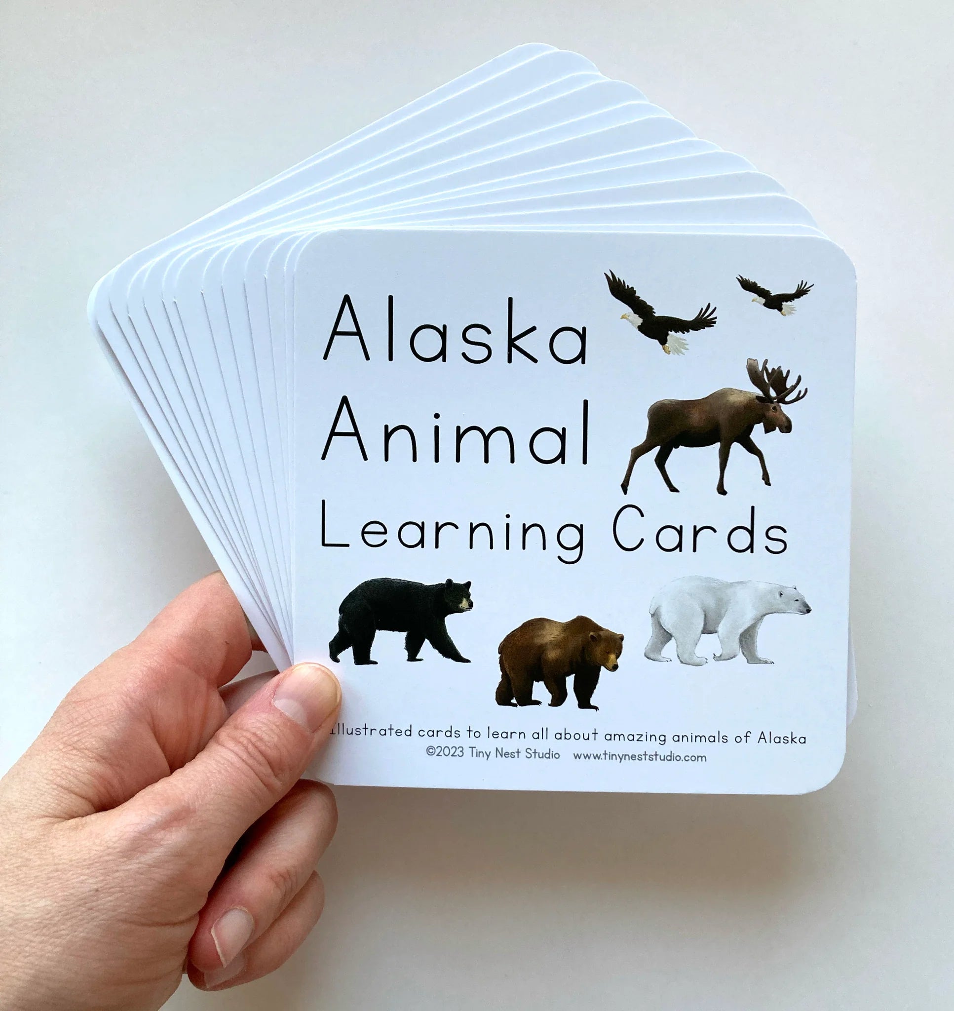 Learning Cards