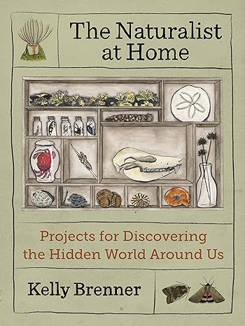 The Naturalist at Home: Projects for Discovering the Hidden World Around Us