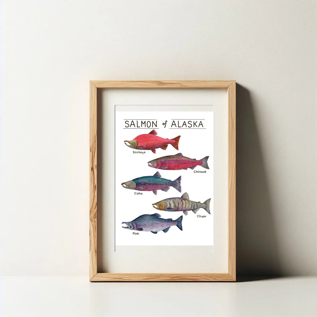 Salmon of Alaska Art Print