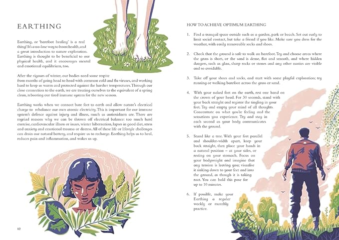 The Wild Handbook: Seasonal Activities to Help You Reconnect with Nature