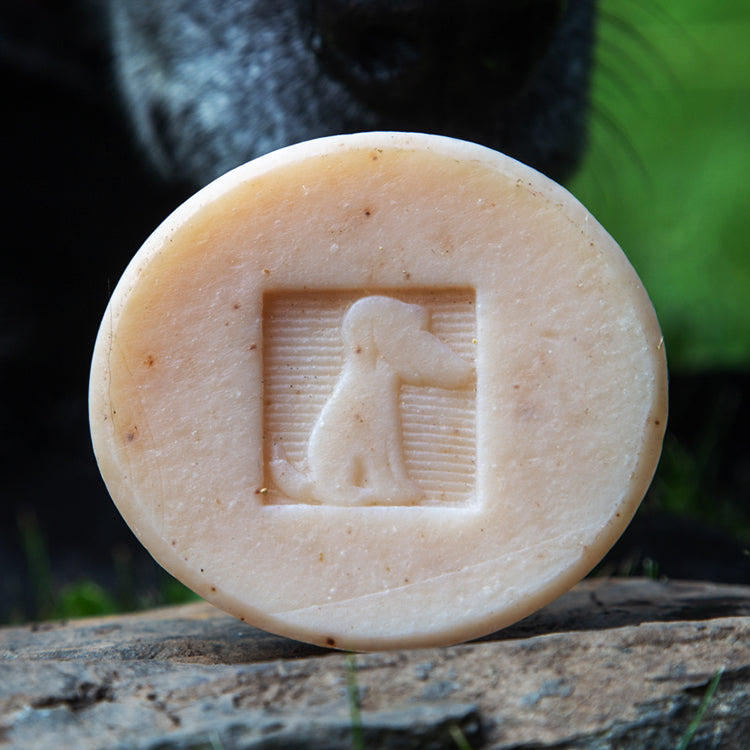 Dog Wash Soap