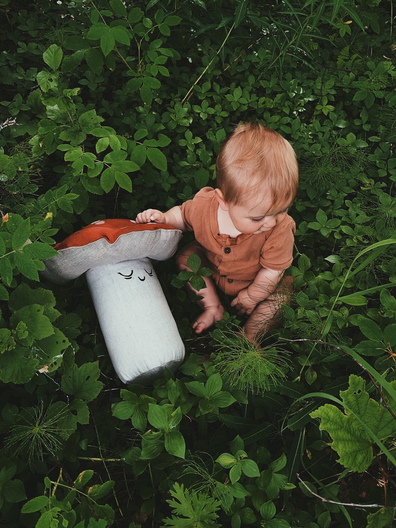 Mushroom Gap Collection