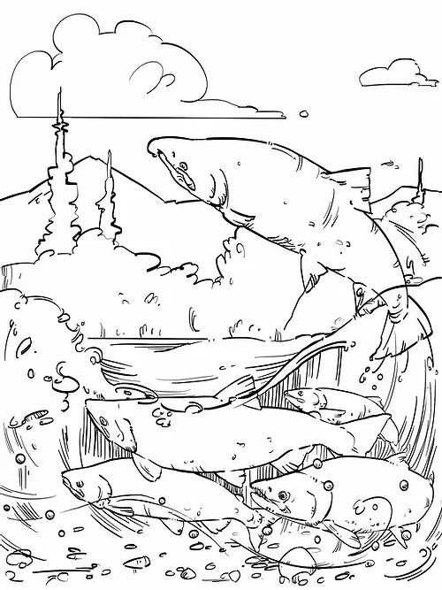 The Great Alaskan Coloring Book