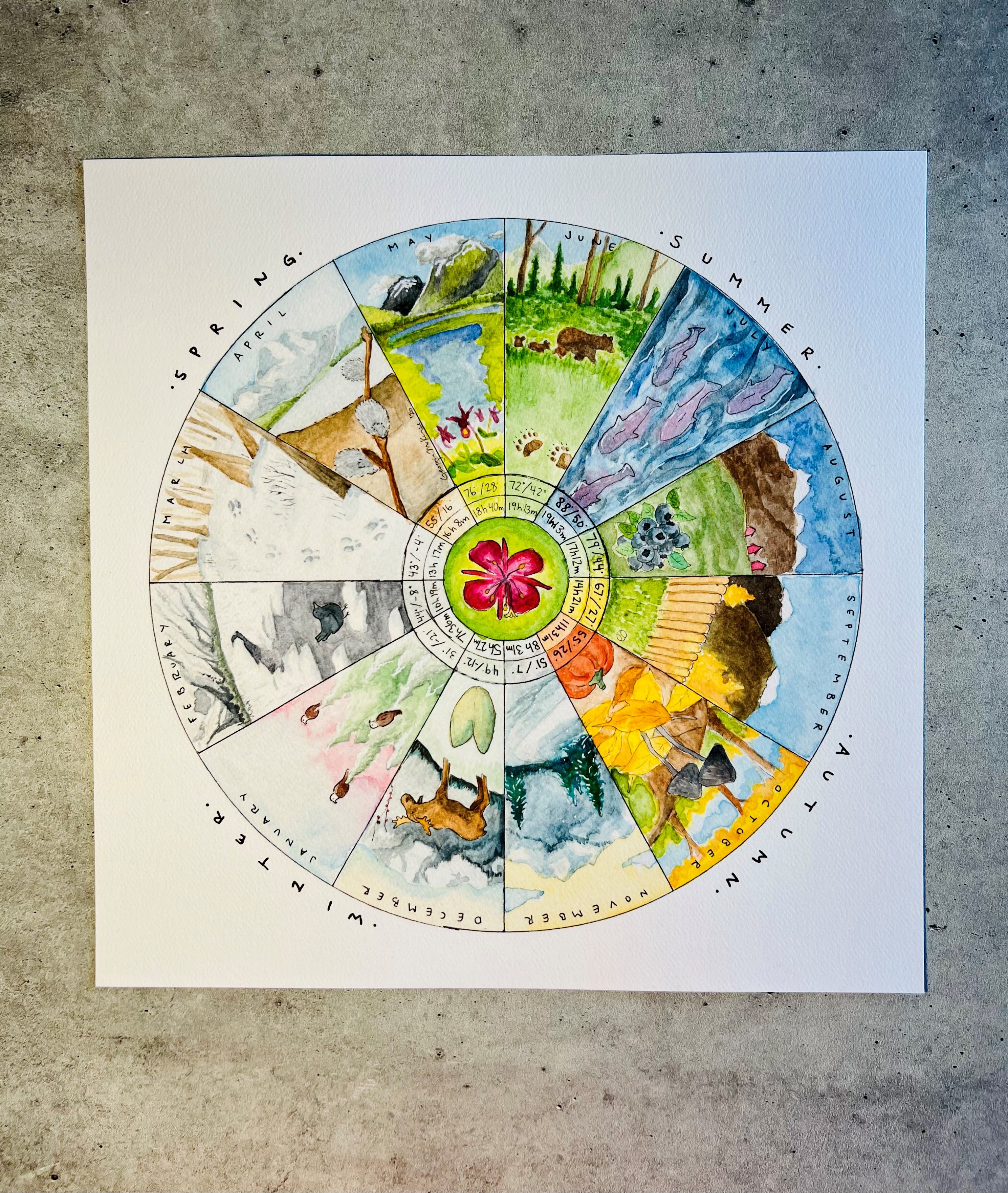 Year in Alaska Phenology Wheel